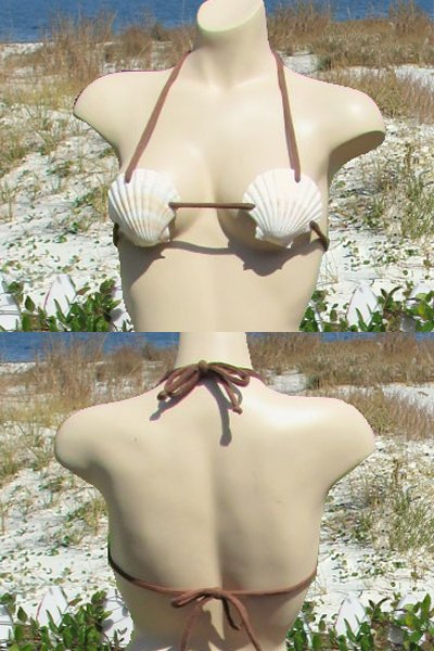 Organic Eco-Friendly hypoallergenic She Shells bikini top - latex-free  custom made in USA.