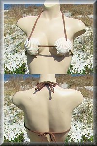 Women's Eco-Friendly Hemp She Shells bikini top.