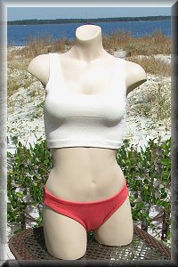 Women's Eco-Friendly Hemp The Juliet bikini top.