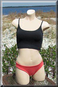 Women's Eco-Friendly Hemp The Sadie bikini top.
