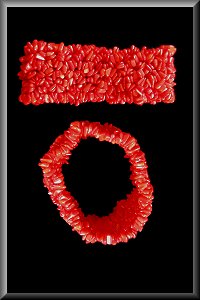 Red Coral Bracelet.